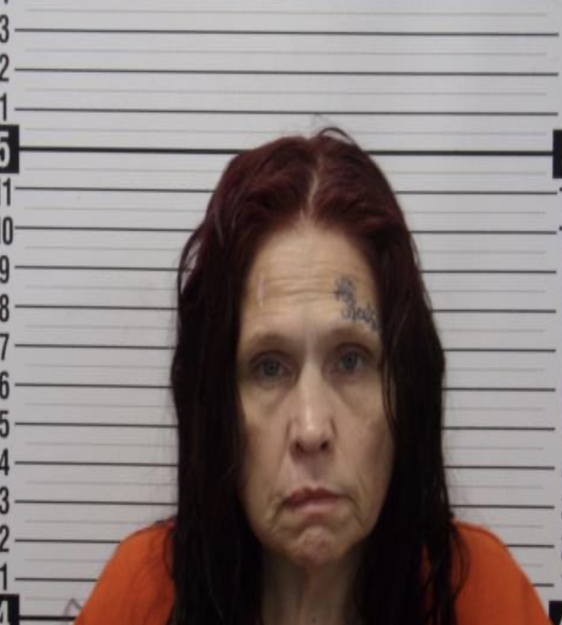 Marion County Mugshots Marion County Now