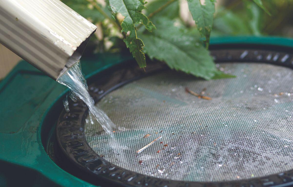 Water flows from a metal spout into a circular green mesh filter, with leaves resting on top and debris around the rim.