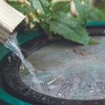 Water flows from a metal spout into a circular green mesh filter, with leaves resting on top and debris around the rim.