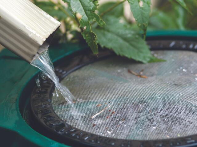 Water flows from a metal spout into a circular green mesh filter, with leaves resting on top and debris around the rim.