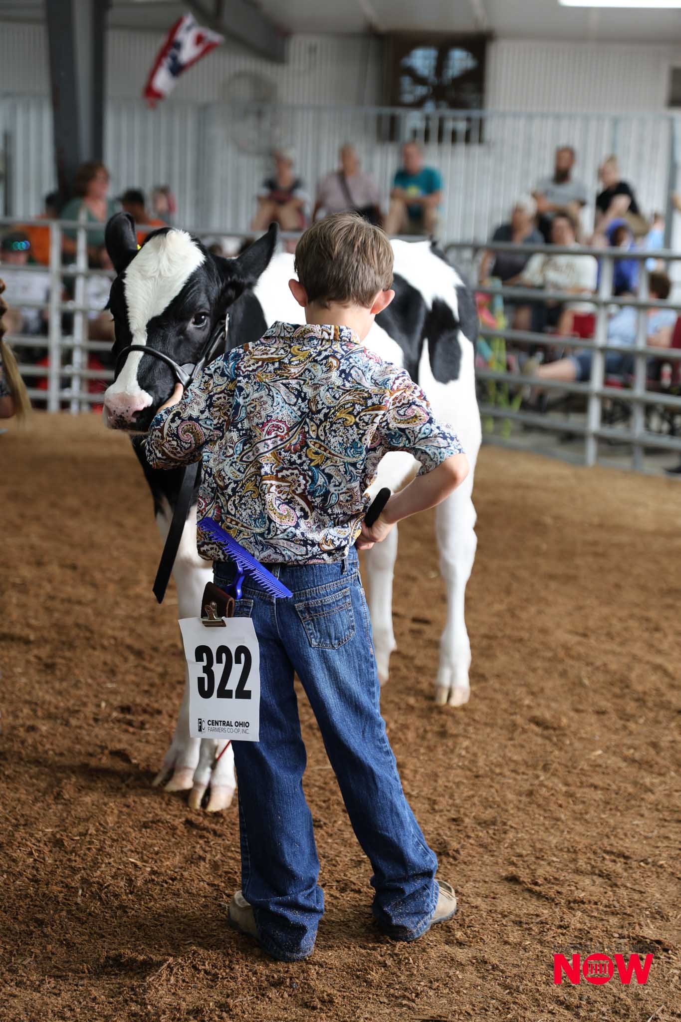 Young boy in a patterned shirt and jeans stands beside a black-and-white calf with a halter in a livestock arena, crowd watching from behind a railing; bib number 322 visible on the boy.