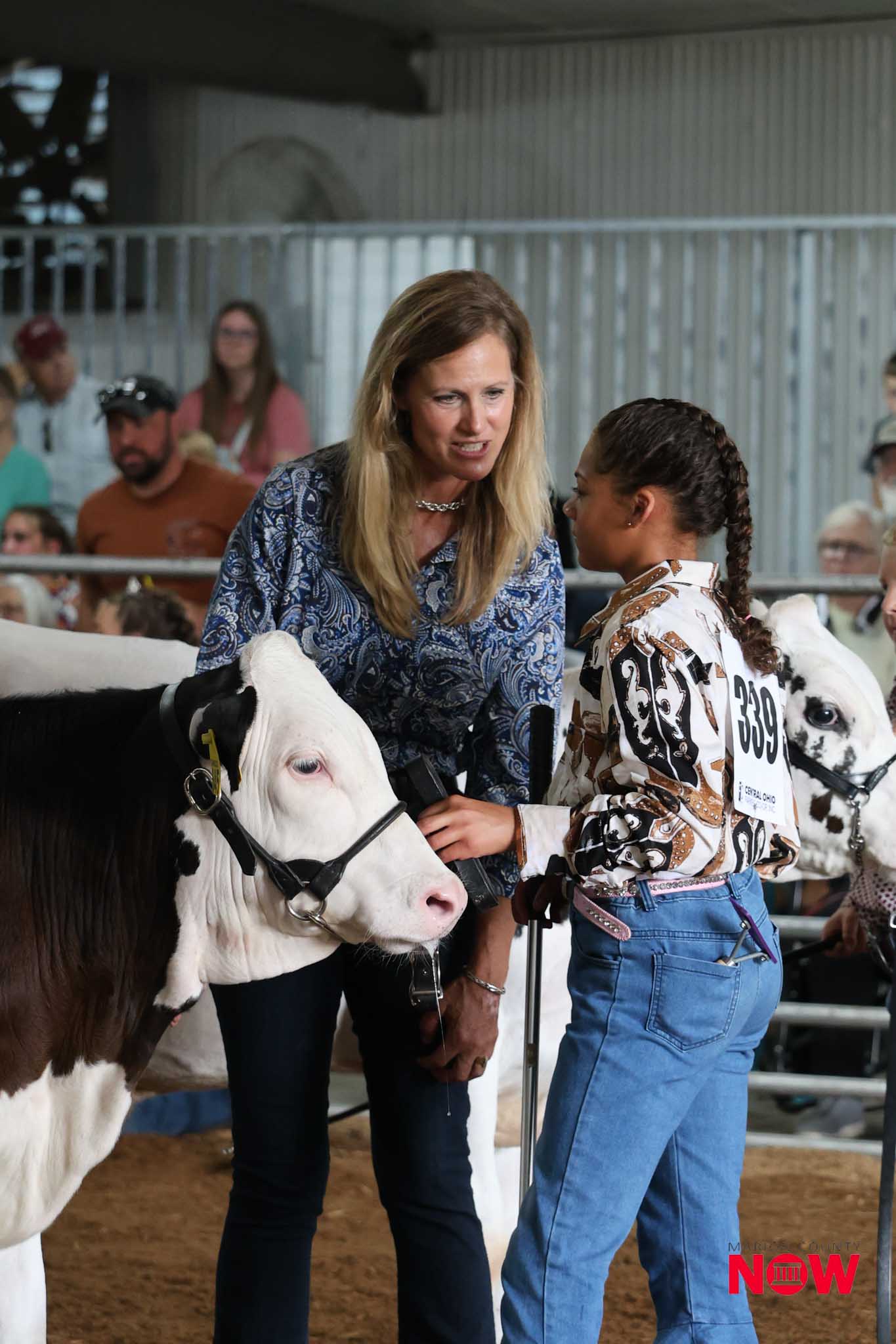 Two people talking to a white-and-brown cow at a livestock show, with a crowd in the background.