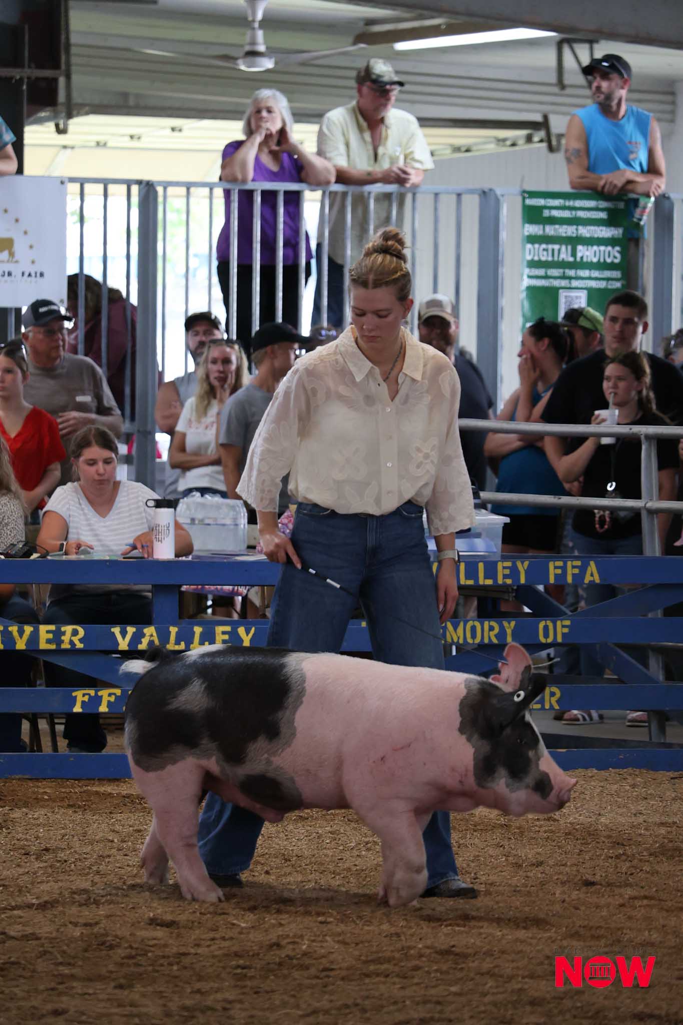 Handler in a white shirt guides a pink and black pig in a livestock show ring as spectators watch from behind blue rails.