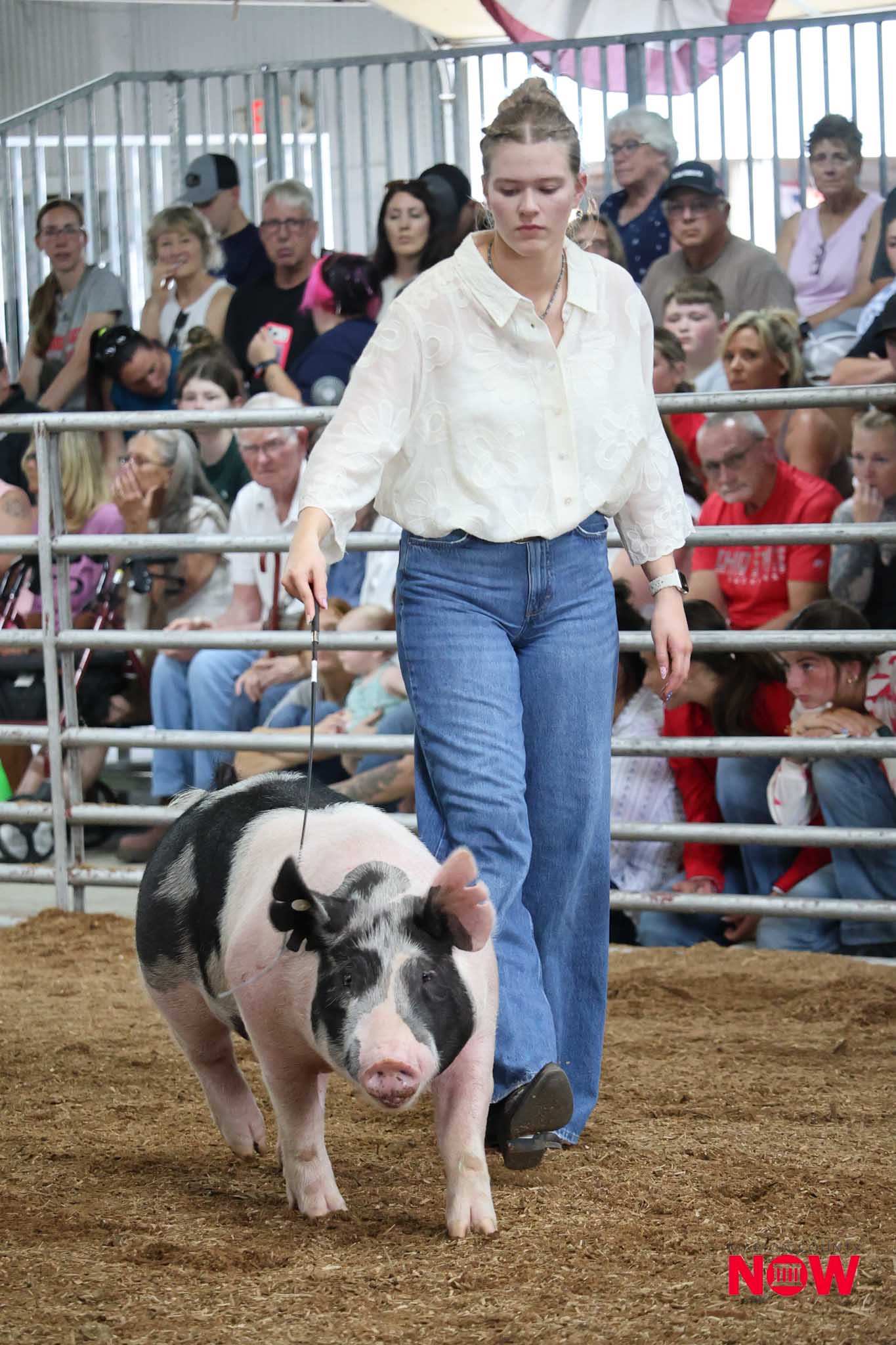 A young woman in a white lace shirt leads a black-and-white pig inside a crowded livestock ring.