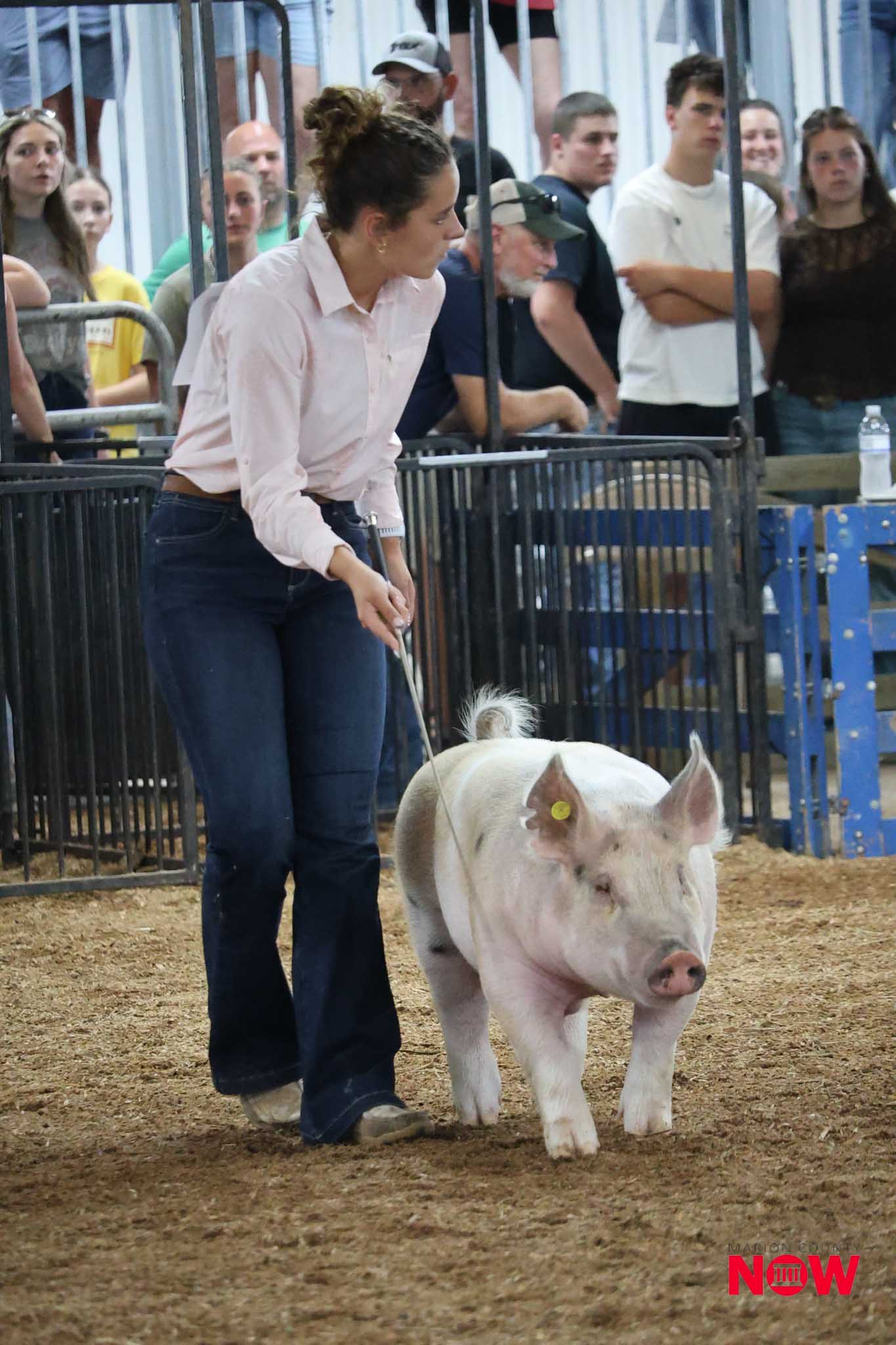 Woman in a light pink shirt leads a pig on a leash inside a pen at a livestock show, with spectators behind a metal fence.