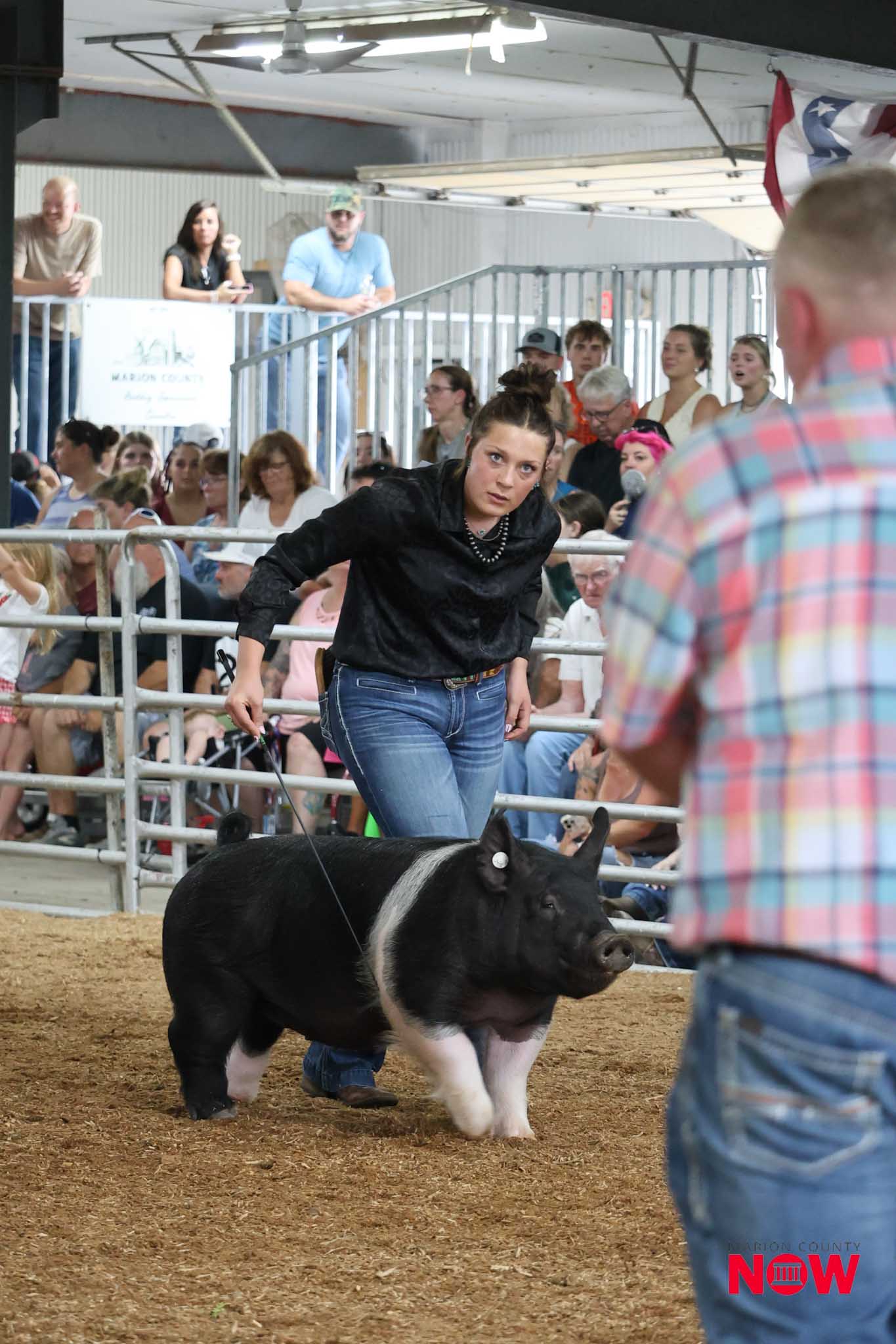 Woman in a black shirt guides a pig through a dirt arena as spectators watch from behind metal barriers.
