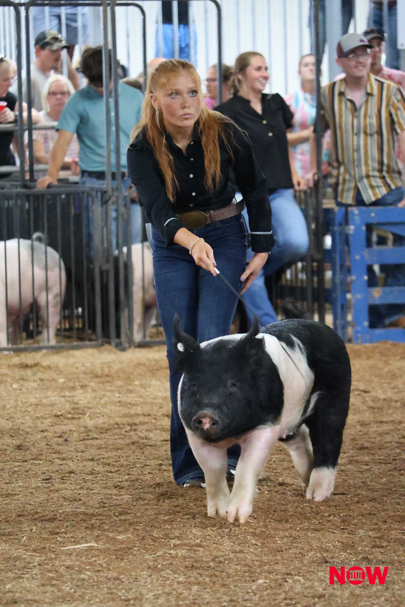Young woman in a black shirt leading a black-and-white pig at a livestock show, with spectators behind a railing.