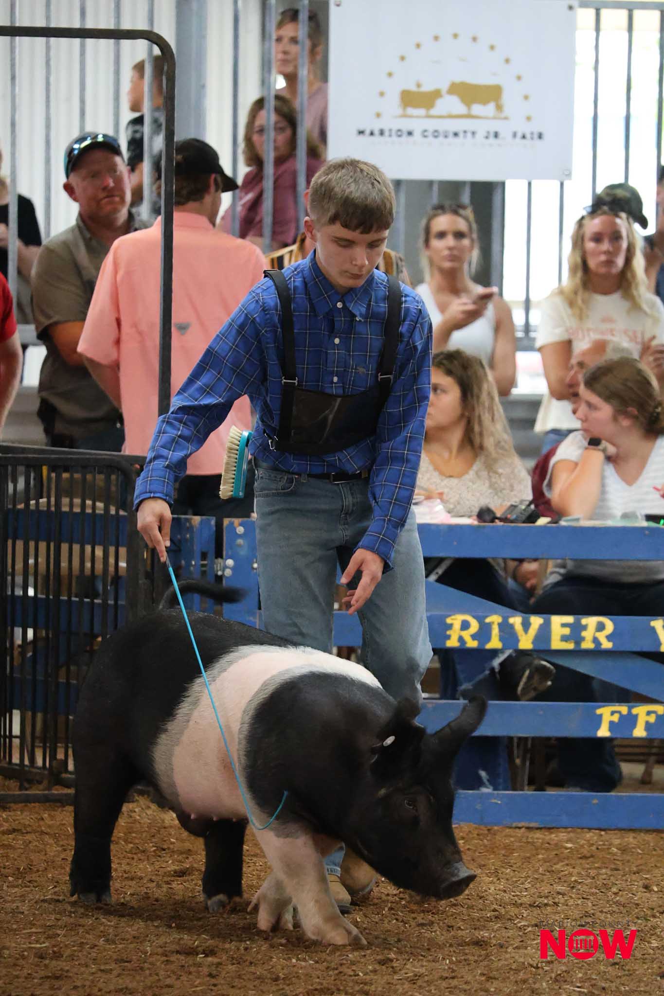 Boy in a blue plaid shirt with suspenders guiding a black-and-white pig inside a pen at a county fair, with spectators in the background.