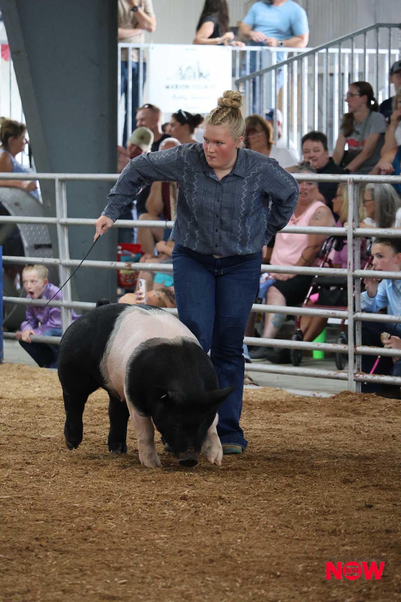 Woman with a bun in a denim shirt leads a black-and-white pig on a leash in a dirt arena, with spectators behind a railing.