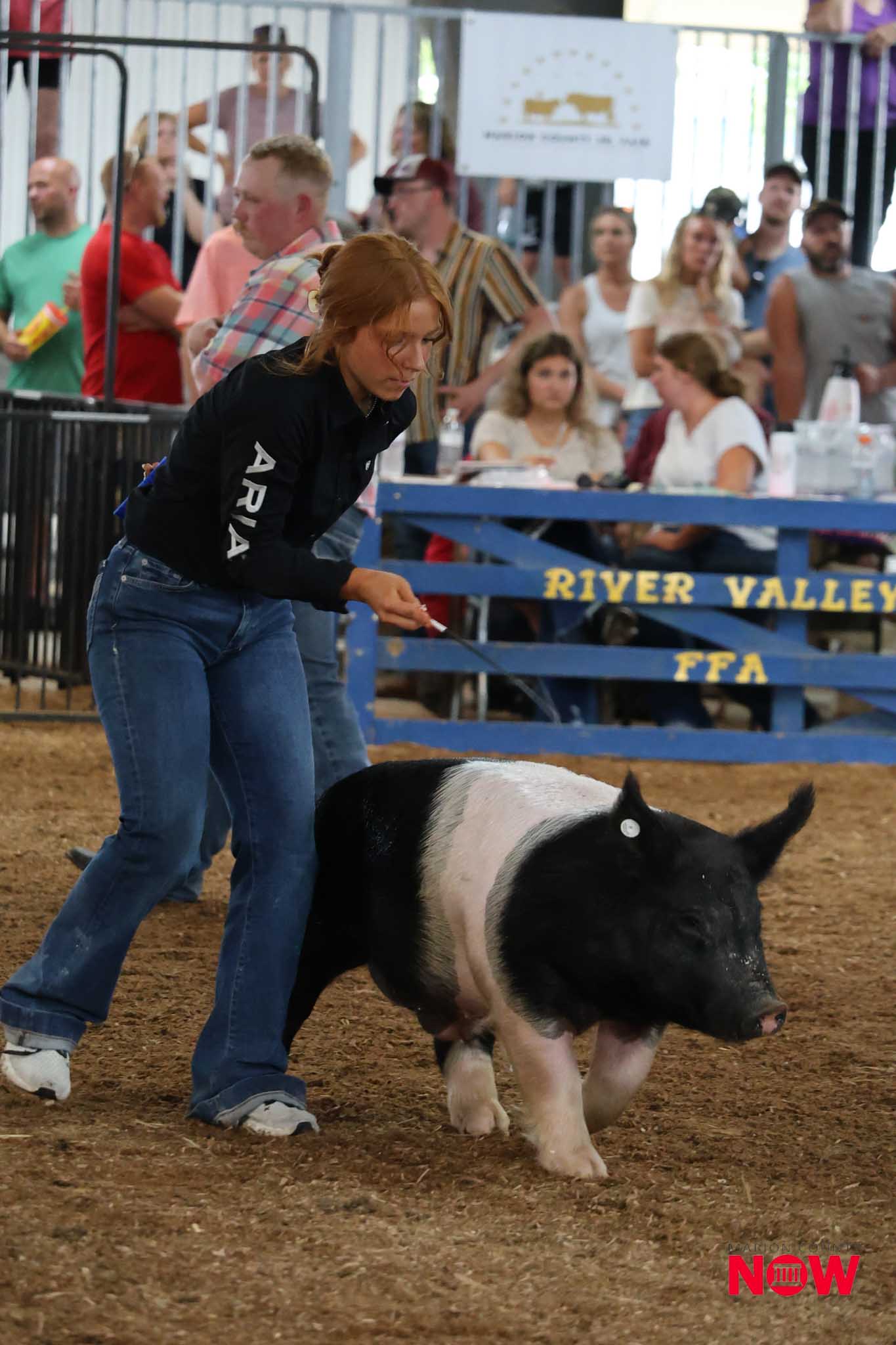 Young woman in a black shirt guides a black-and-white pig through a dirt arena as a crowd watches from behind railings.