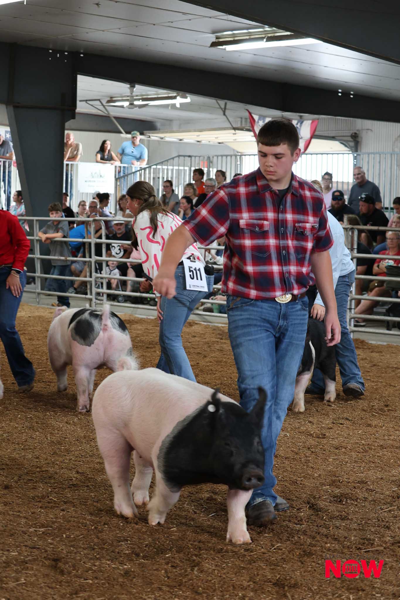 Young man in a red plaid shirt guiding a black-and-white pig in a dirt livestock ring, spectators behind a metal railing.