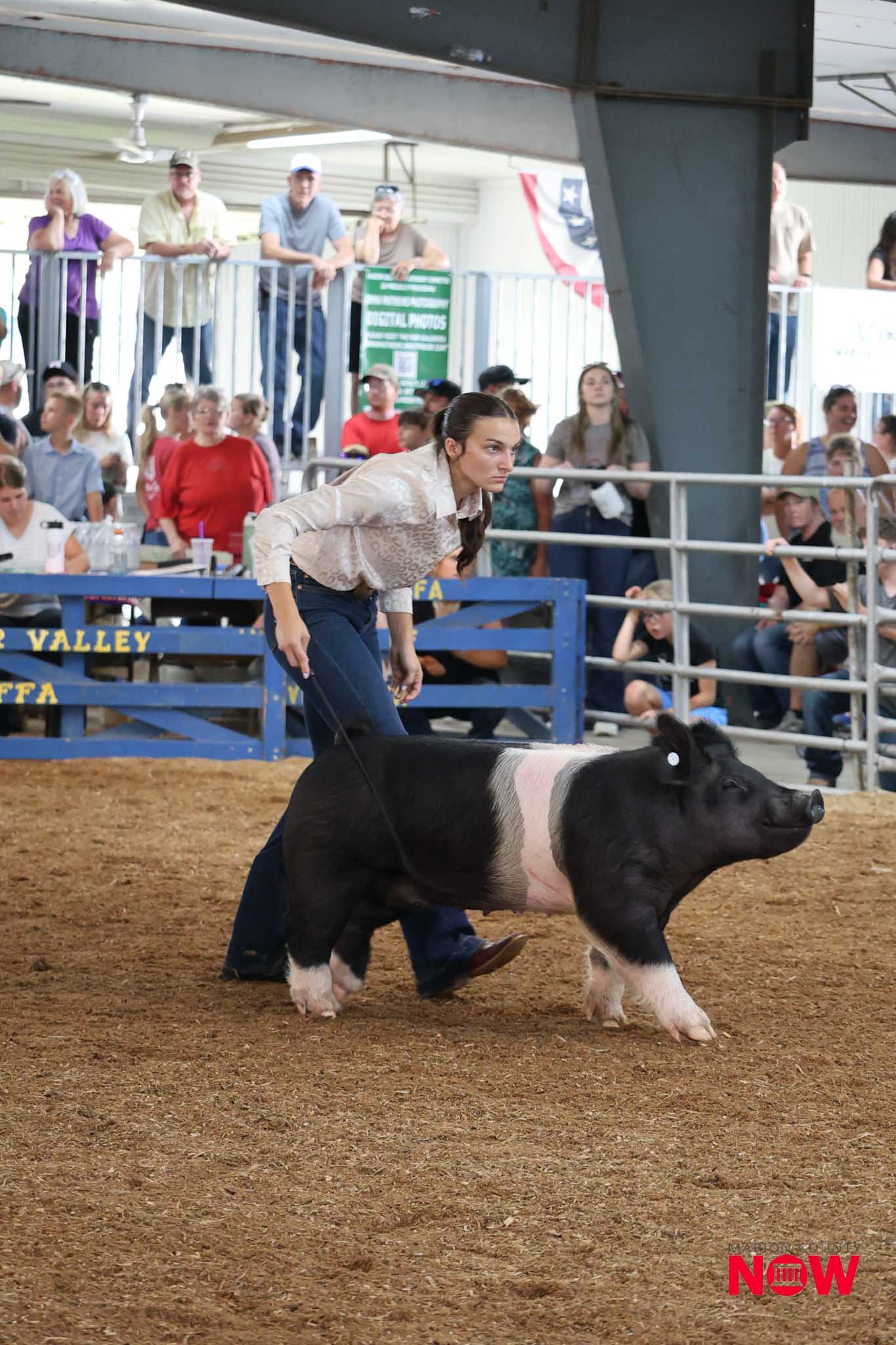 Woman herding a black-and-white pig in a dirt arena as spectators watch from behind a railing.