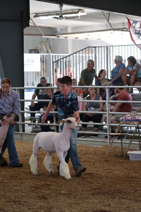 Boy in a blue patterned shirt leading a white lamb in a show ring, spectators seated behind a metal fence edge of an indoor livestock event.