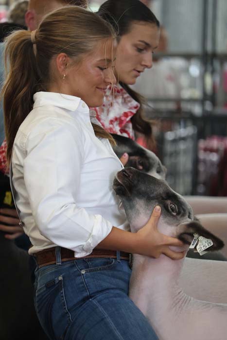 Two women cradle a gray baby alpaca at a farm event, one wearing a white shirt and jeans while the animal nuzzles toward them.