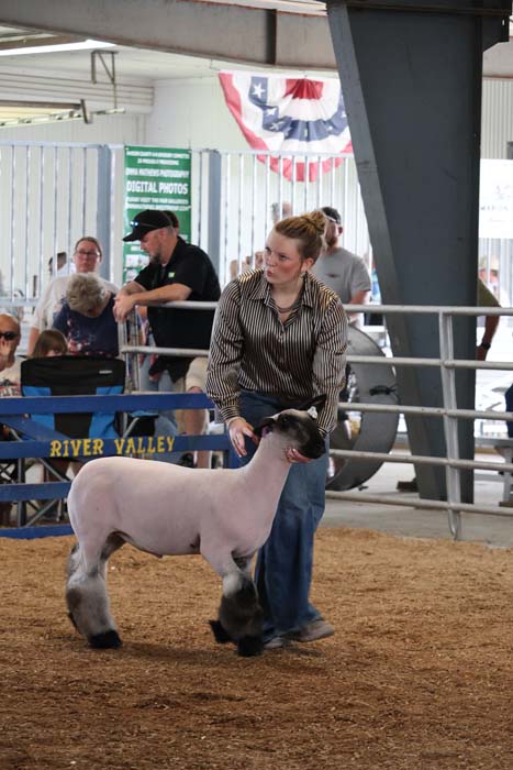 A woman leads a white sheep with a dark head in an indoor show ring, spectators behind the rails at a fair.