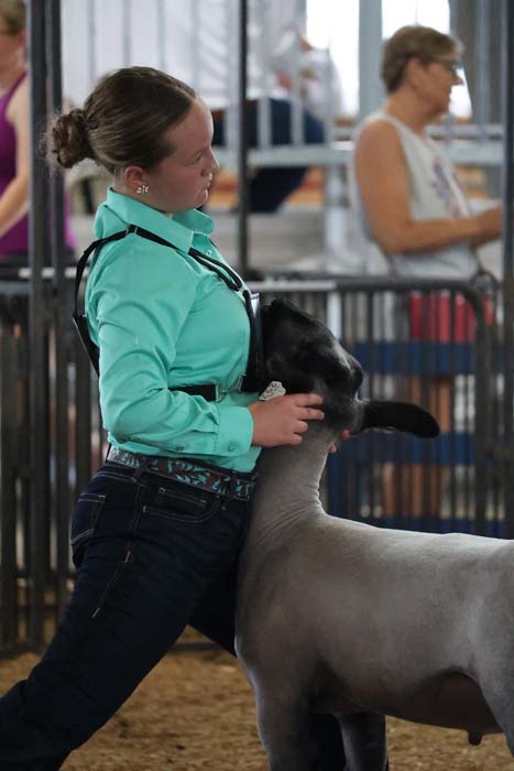 Young handler in a teal shirt guiding a gray poodle in a dog show ring indoors with spectators nearby.