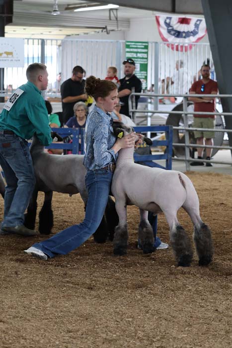 Young woman in jeans kneels in a livestock show ring, hugging a white sheep with dark legs while spectators watch from behind the railing.