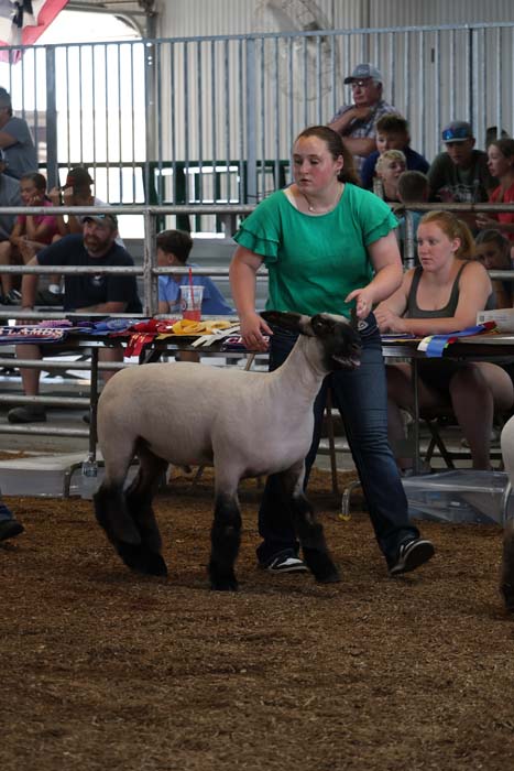 A woman in a green shirt leads a sheep in a livestock show ring with spectators watching from the bleachers behind her.