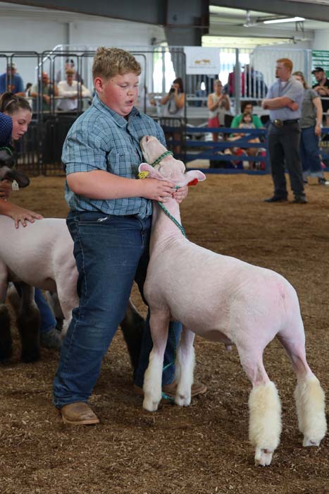 Young boy in a blue plaid shirt holds a white lamb by the neck at a livestock show, with spectators in the background.