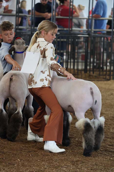 Young girl guides a light-colored pony in a dirt show ring, with a boy and other ponies nearby and spectators beyond the fence.