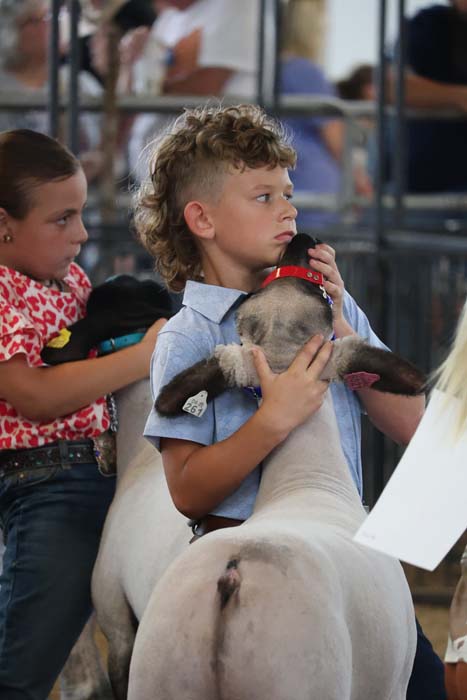 Boy with curly hair wearing a light blue shirt cradles a lamb in a red-collared harness at a livestock show, with another child nearby holding a small animal.