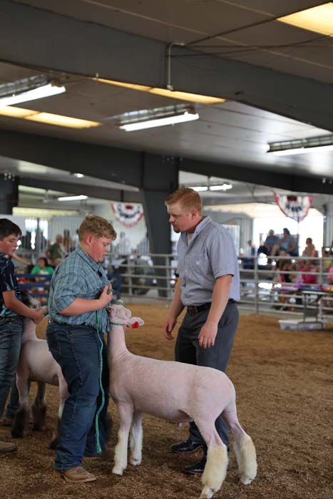 Boy in a blue plaid shirt holding a light-colored lamb with a halter at a livestock show, supervised by a man in a gray shirt; other lambs and spectators in background.
