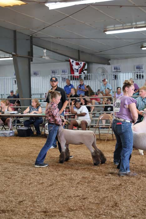 Young girl guides a sheep in a livestock show ring as spectators sit at tables behind a railing.