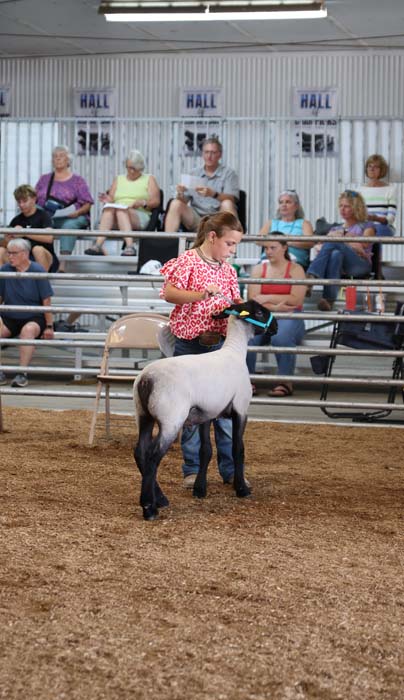 Young girl in a pink top rides a white pony with black legs in an indoor arena while spectators watch from metal bleachers behind a rail.