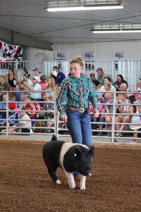 A young woman in a turquoise plaid shirt leads a black and white pig inside a dirt arena with spectators watching from bleachers behind a railing.