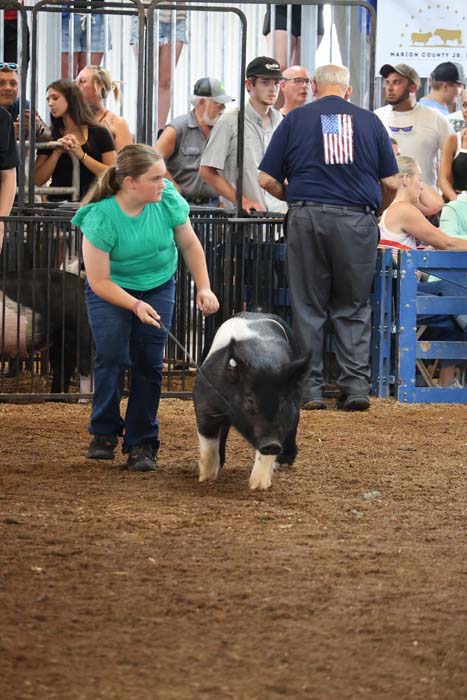 Woman in a green shirt guides a black-and-white pig on a leash through a dirt livestock arena, with spectators behind a fence.
