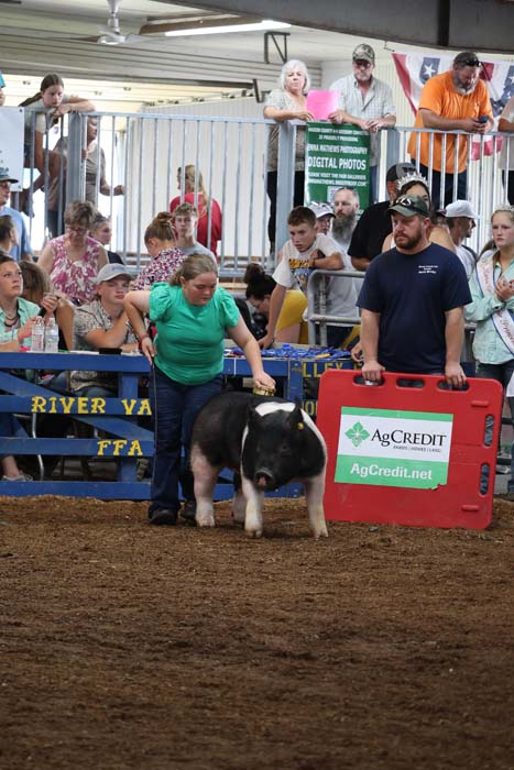 Young woman in green guides a black-and-white pig in a pen at a livestock show; crowd watches as a man holds a red AgCredit sign.
