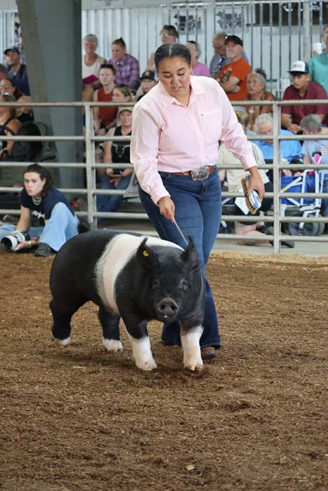 Woman in a pink shirt guides a black and white pig across a dirt arena as spectators watch from the stands.