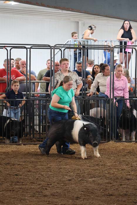 Girl in a green T-shirt leads a black-and-white miniature pony in a show ring, with a crowded audience behind metal barriers.