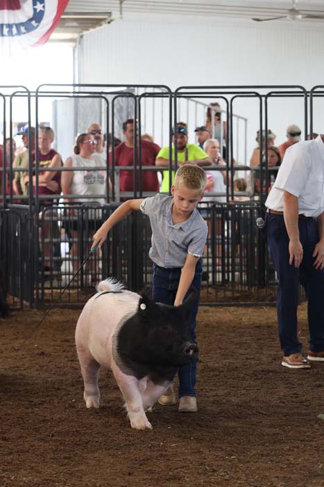 Young boy guiding a pig in a dirt arena at a livestock show, spectators behind a metal fence watching.