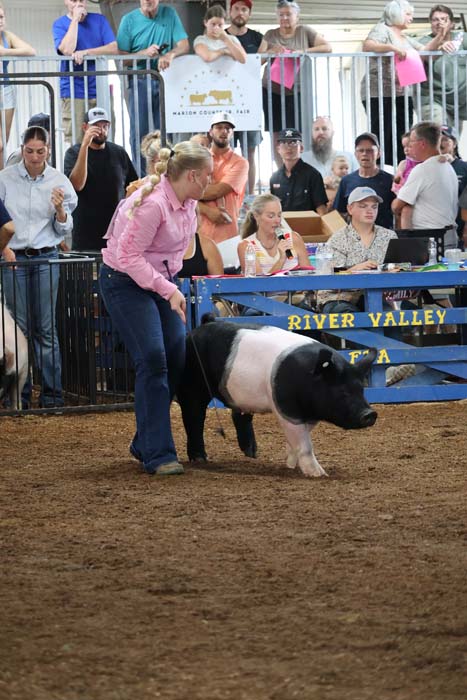 Woman leading a black-and-white pig in a pen at a livestock show, with spectators watching from behind a railing.