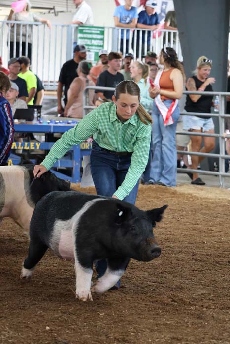 Young woman in a green shirt herding a black and white pig in a dirt arena at a crowded livestock show.