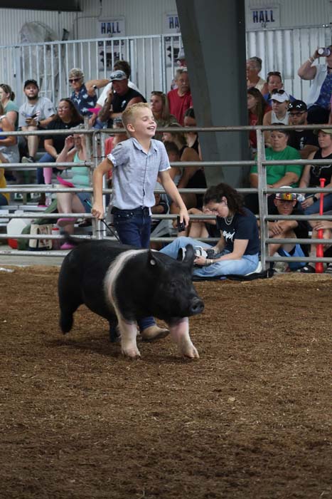 Young boy in a gray shirt leads a black-and-white pig across a dirt arena, while spectators watch from the stands in a rodeo setting.