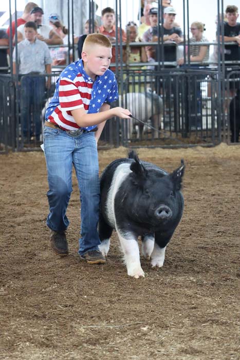 Boy in an American flag shirt leads a black-and-white pig across a dirt arena with spectators behind a railing.