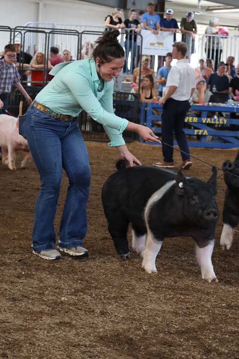 Woman guiding a small black and white piglet on a leash in a crowded livestock show arena