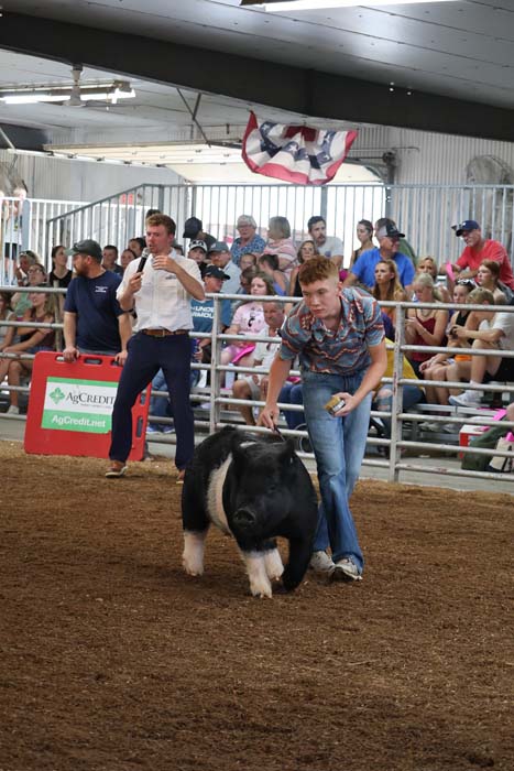 Young man in a patterned shirt guiding a black-and-white pig in a dirt arena, with a crowd watching from behind a barrier.