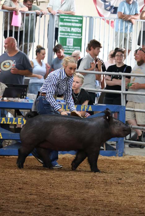 Woman guiding a dark pig in a livestock show, with a boy beside her and spectators behind a blue barrier.
