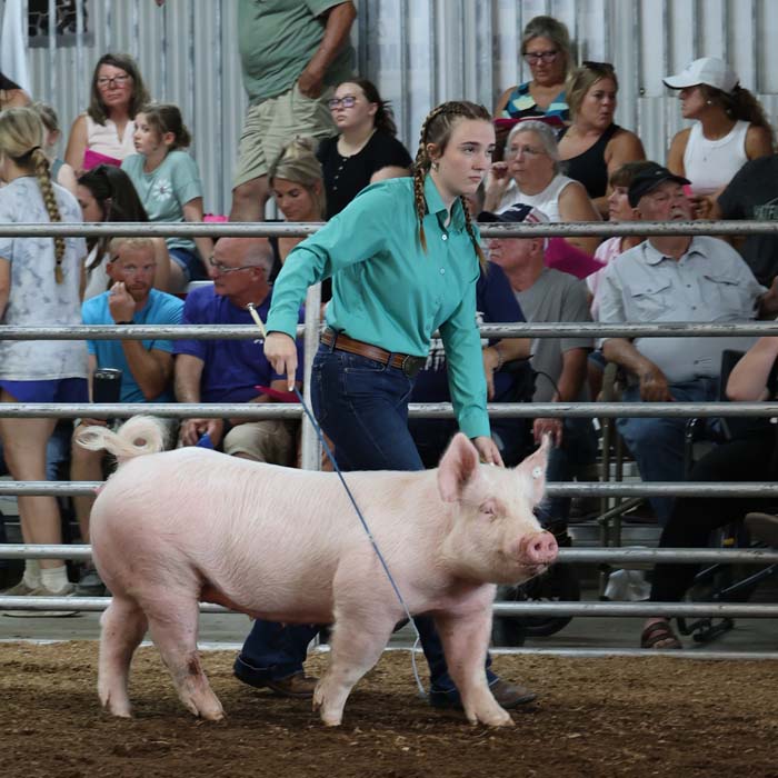 Young handler in teal shirt guiding a pig in a fenced arena at a livestock show, with spectators watching from the stands.