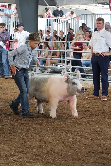 Young boy guides a pig around a dirt arena at a livestock show with spectators in the background.