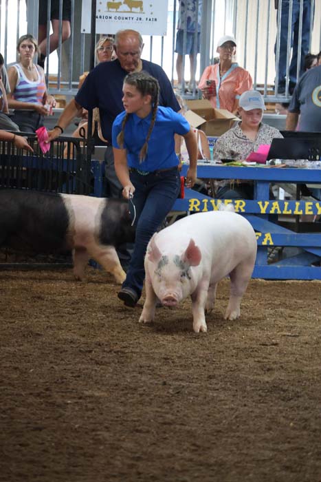 Young girl leading a white pig in a dirt arena at a livestock show, with spectators and judges behind the fence.