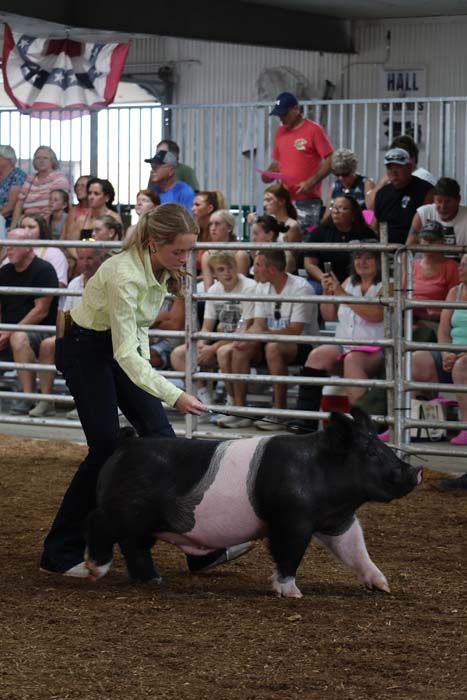 Young woman in a pale yellow shirt guiding a black-and-white pig in a dirt show ring as spectators watch from the bleachers.