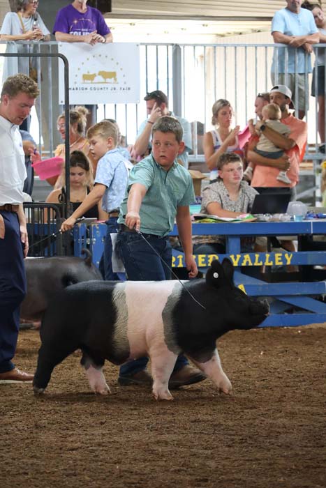 Boy in a green shirt leads a large black-and-white pig through a livestock show ring as spectators watch from behind a railing.