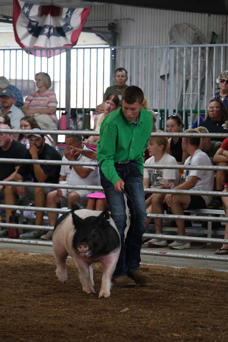 Man in a green shirt leads a pig through a dirt arena as spectators watch from bleachers behind metal rails.