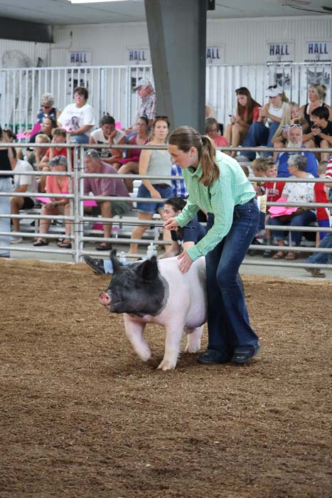 Woman guiding a black and white pig in a show ring, with spectators behind a railing at a livestock event.
