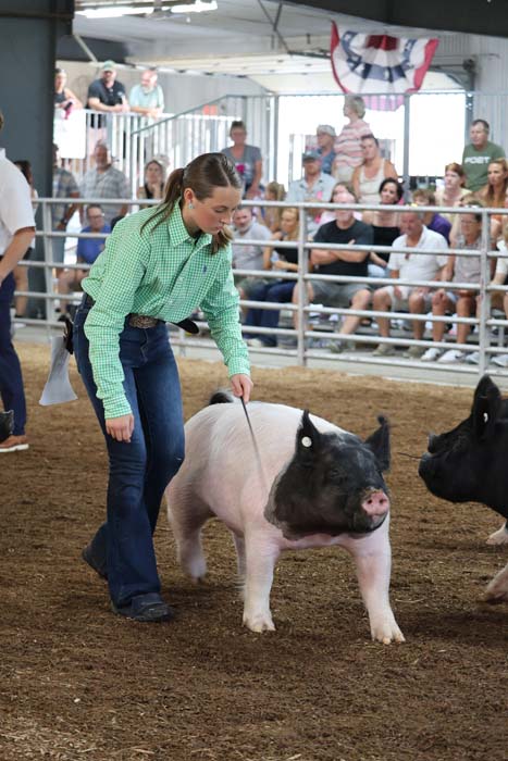 Girl in a green shirt leads a pig in a livestock show ring, with spectators watching from behind the railing in the background.