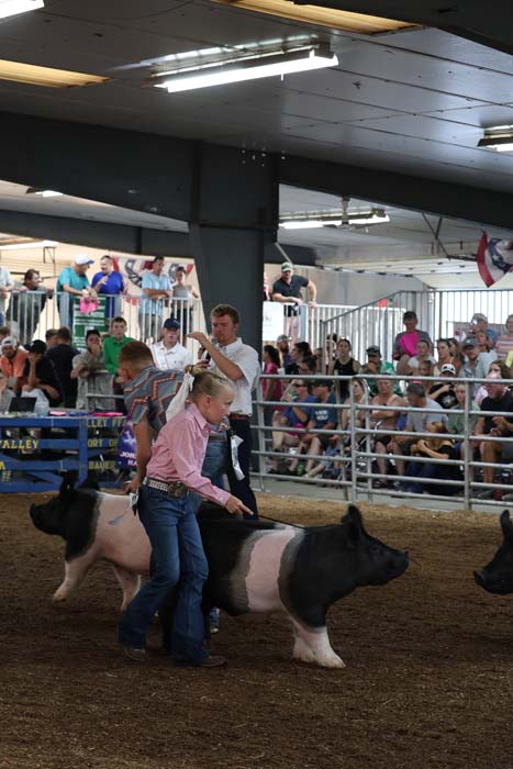 Young girl guides a pig around an indoor livestock show ring while a man assists and a large crowd watches from the stands.